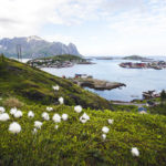 Ausblick auf den Lofoten